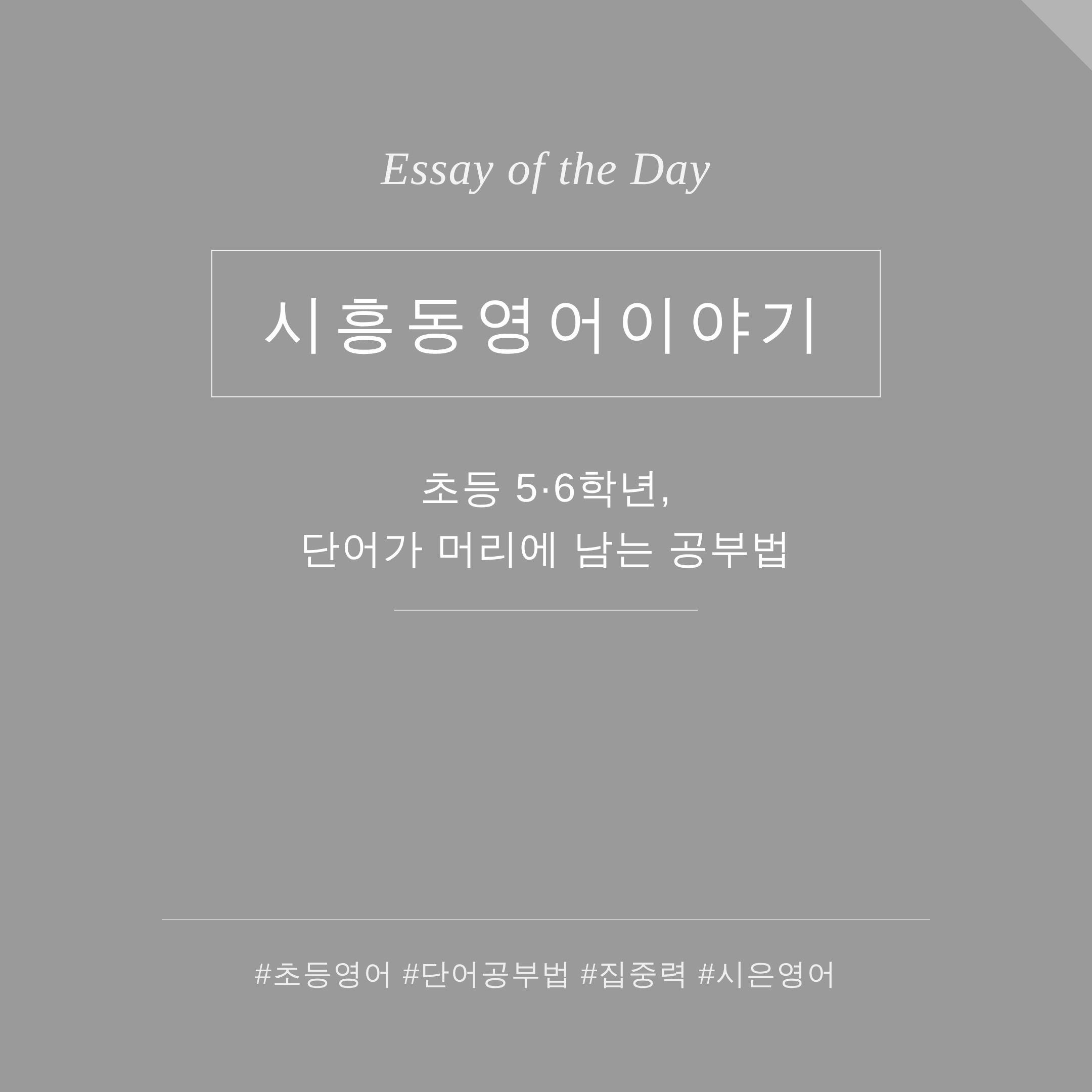 초등 5·6학년, 단어가 머리에 남는 공부법